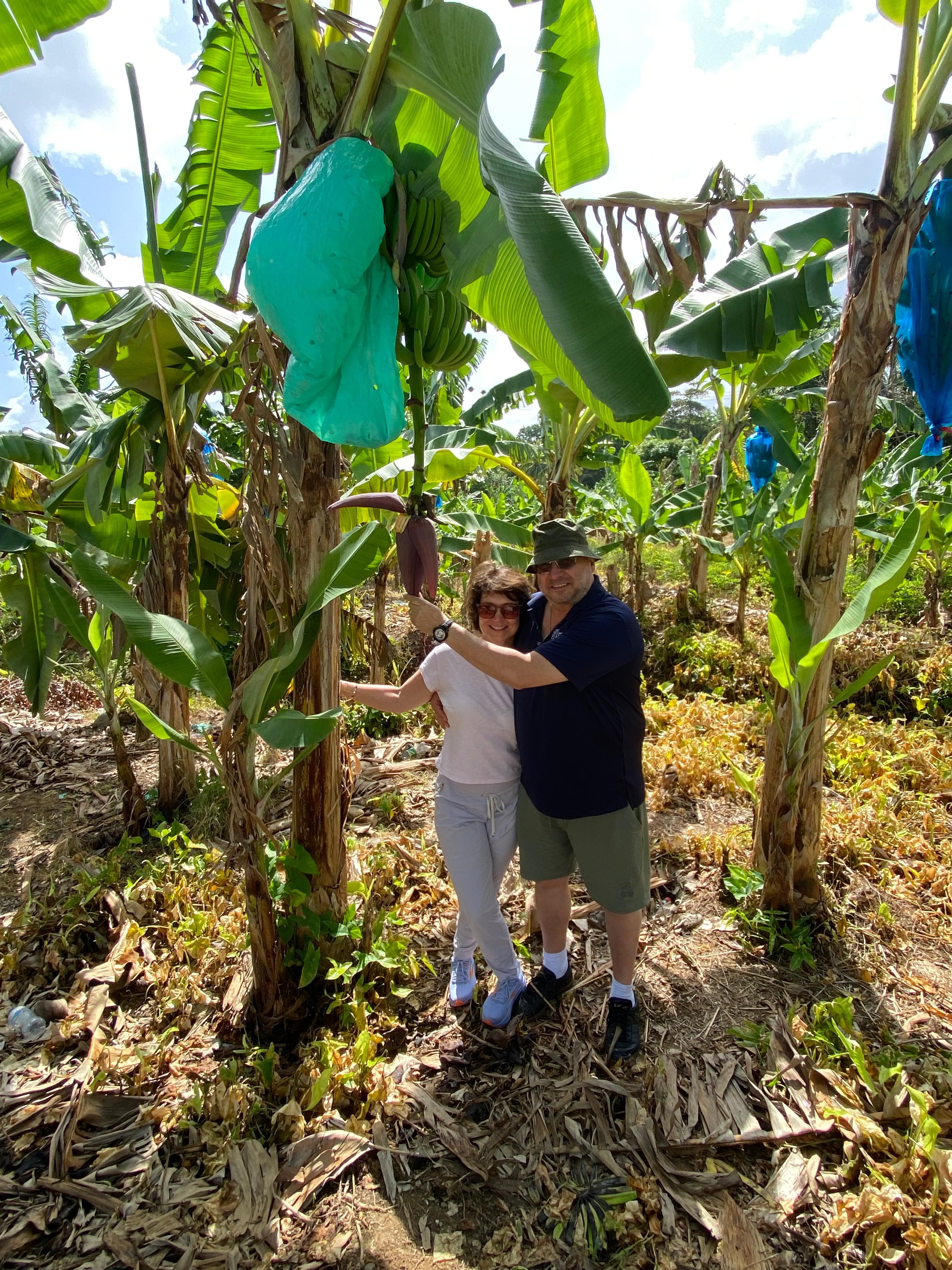 Saint Lucia Rum Distillery and Soufriere Volcano Tour - Image 3