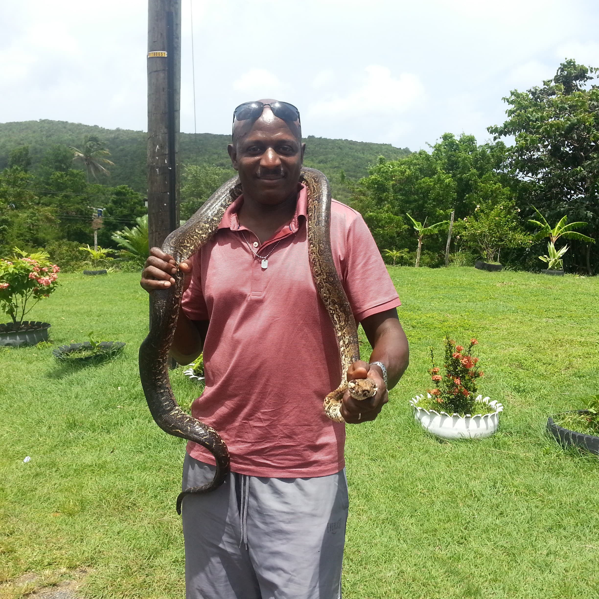 Saint Lucia island Tour And Discovery - Image 3