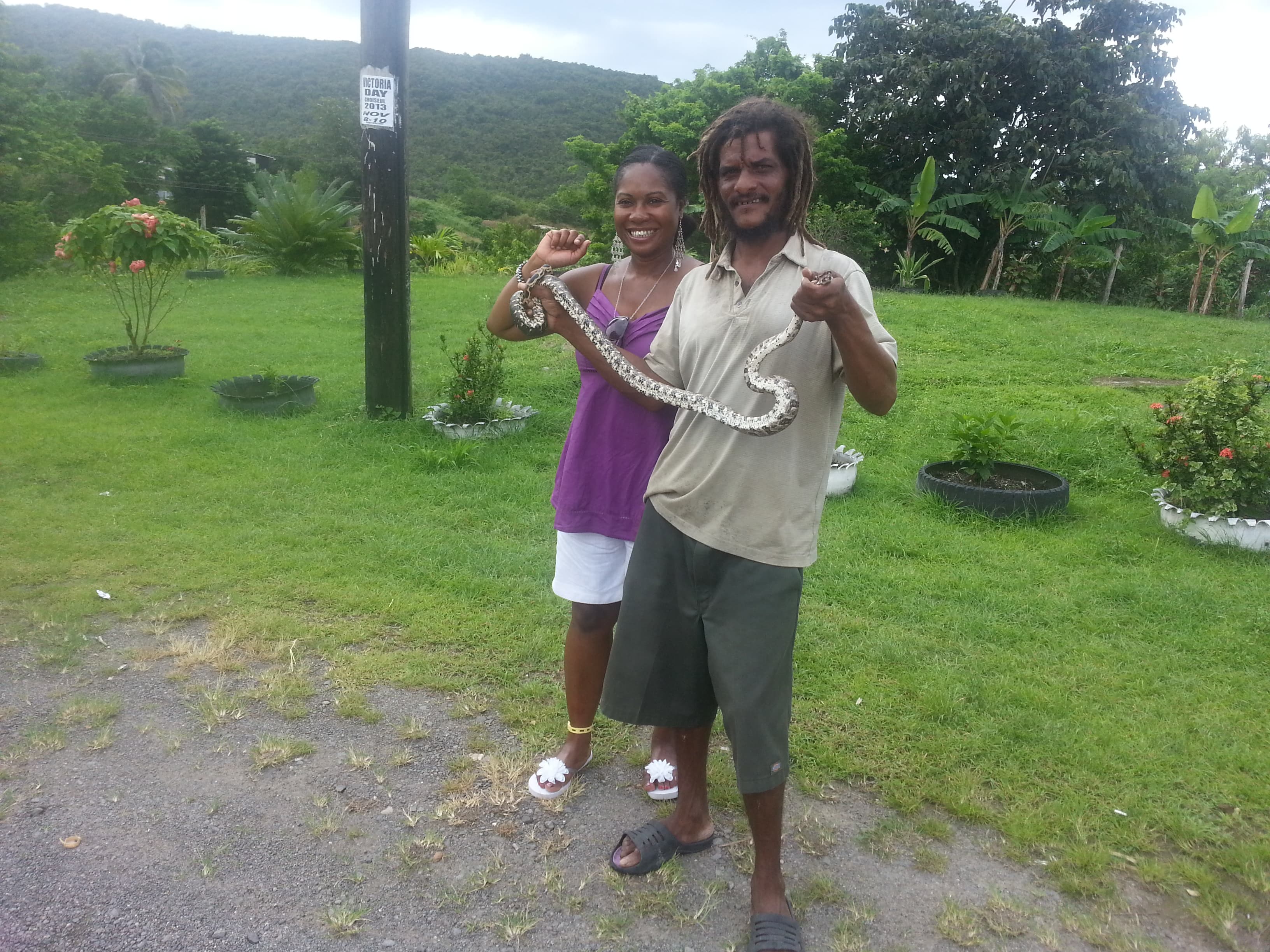 Saint Lucia island Tour And Discovery - Image 4