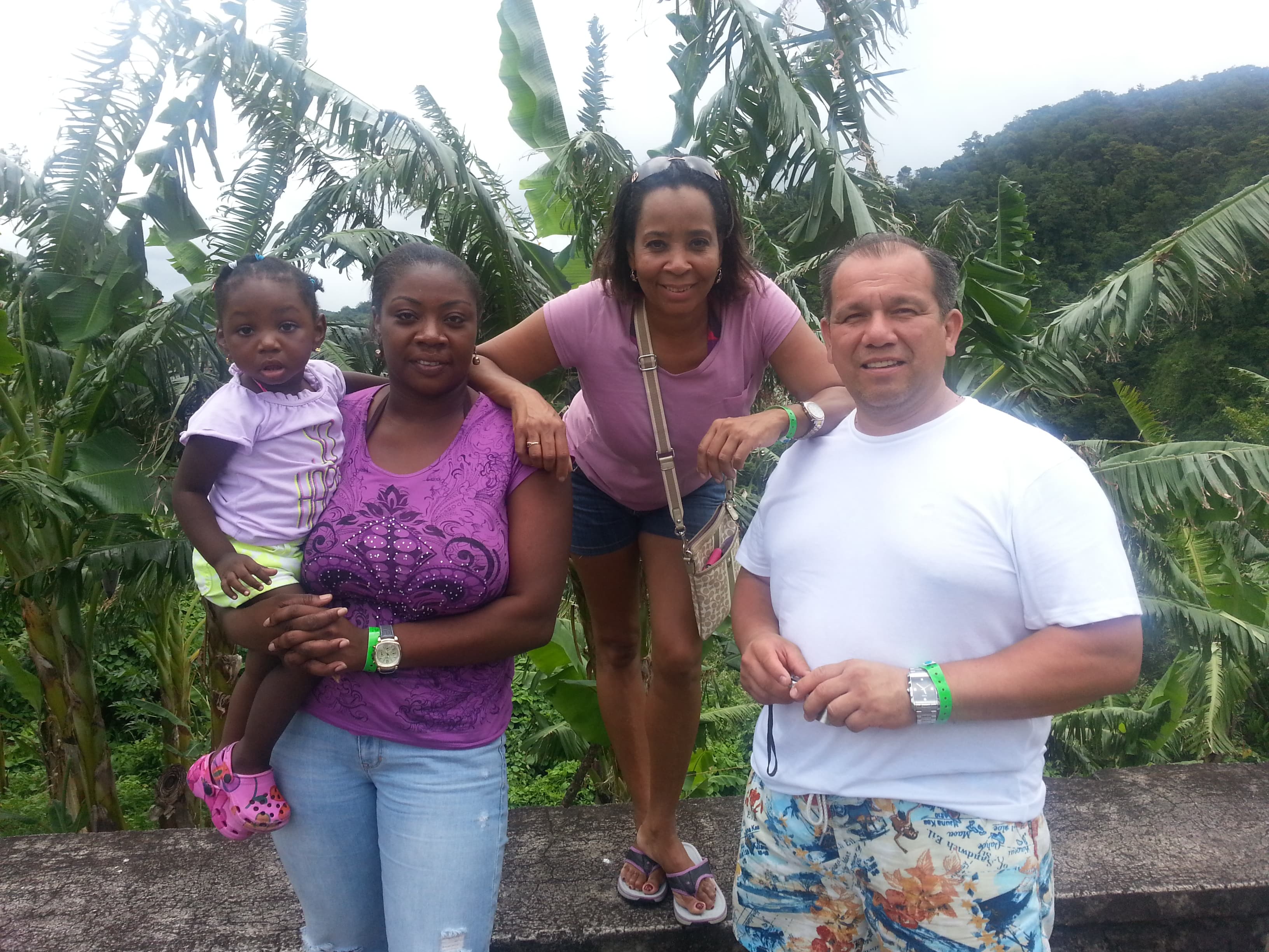 Saint Lucia island Tour And Discovery - Image 10