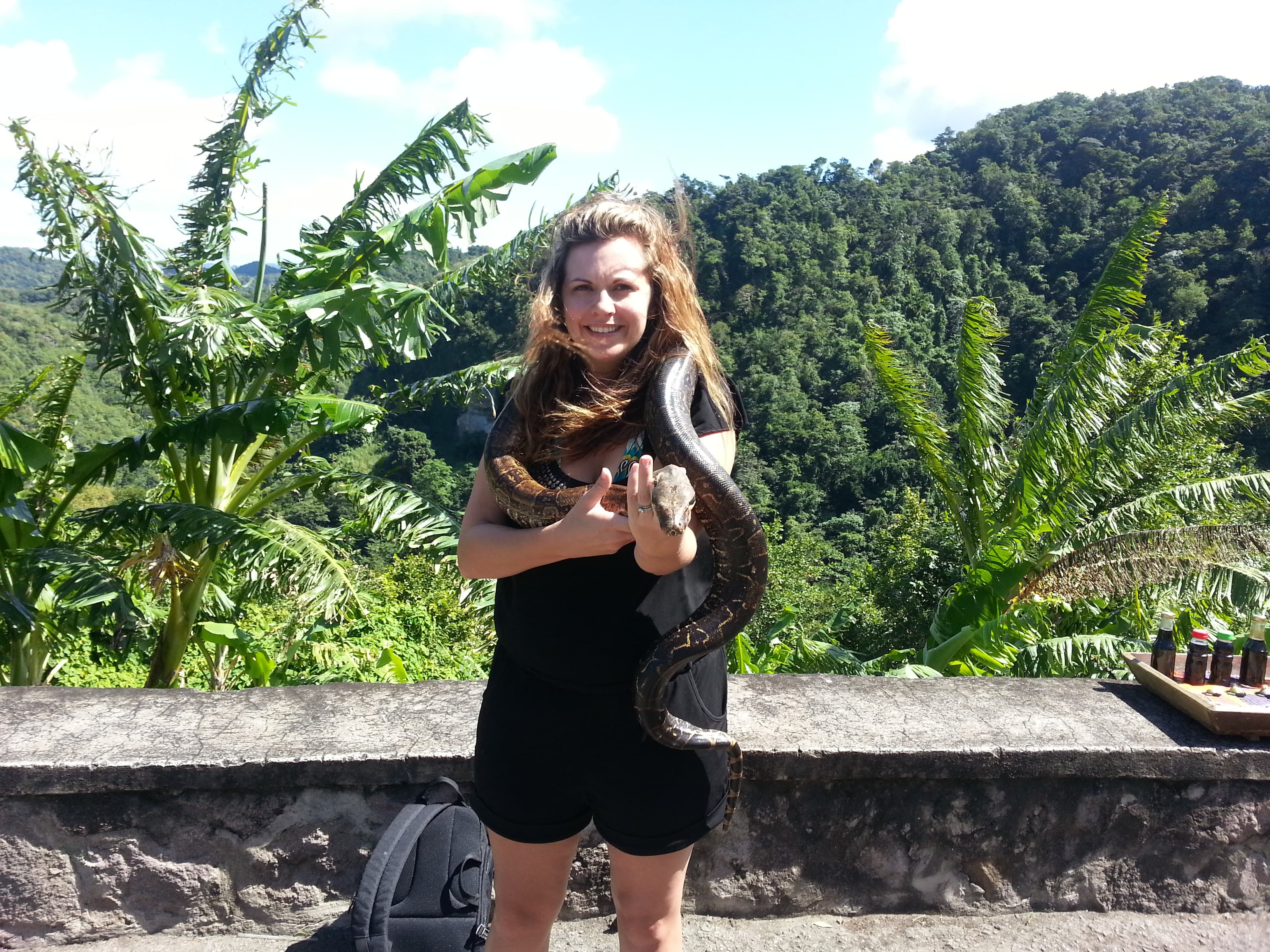 Saint Lucia island Tour And Discovery - Image 15