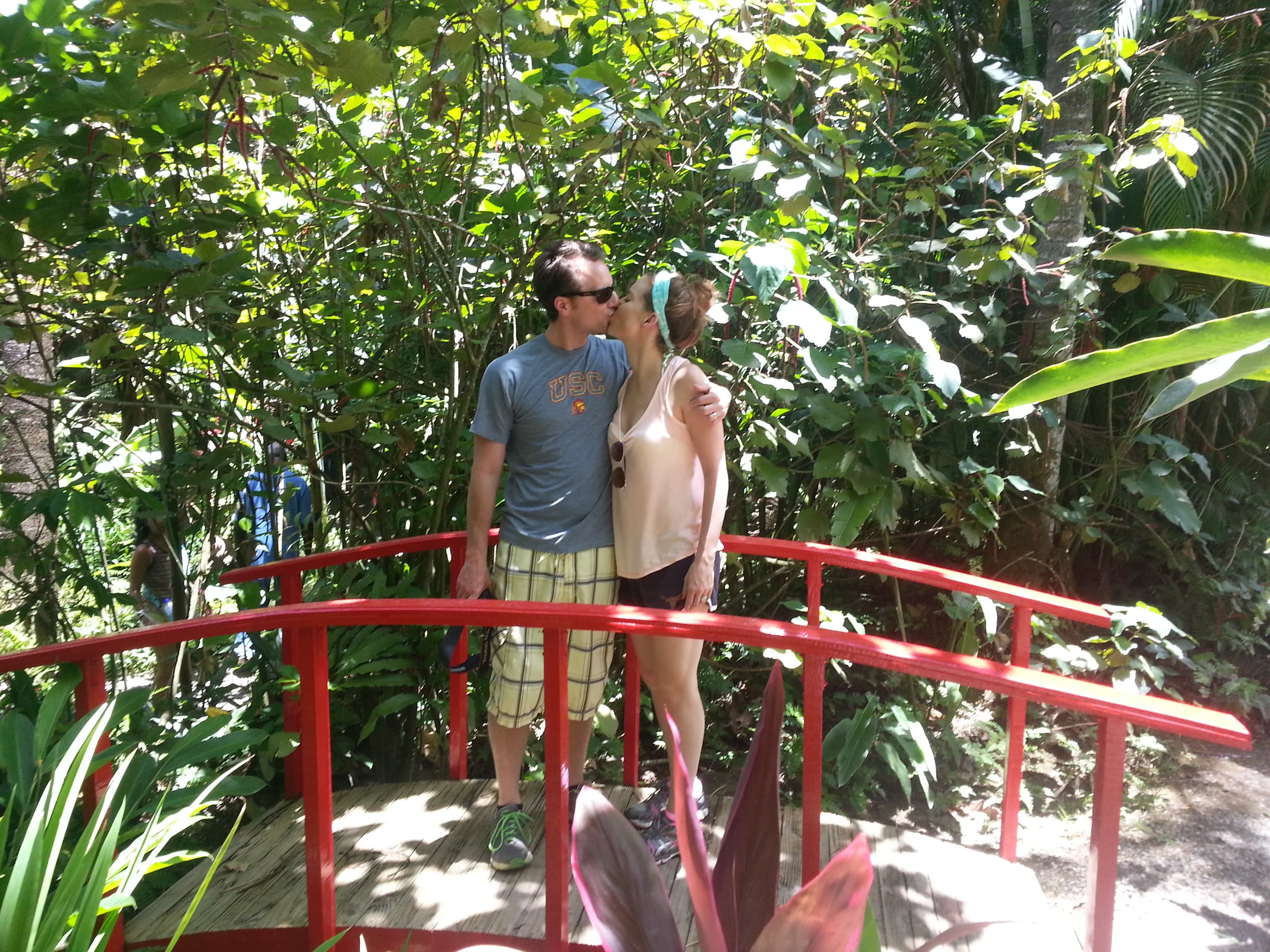 Saint Lucia island Tour And Discovery - Image 19