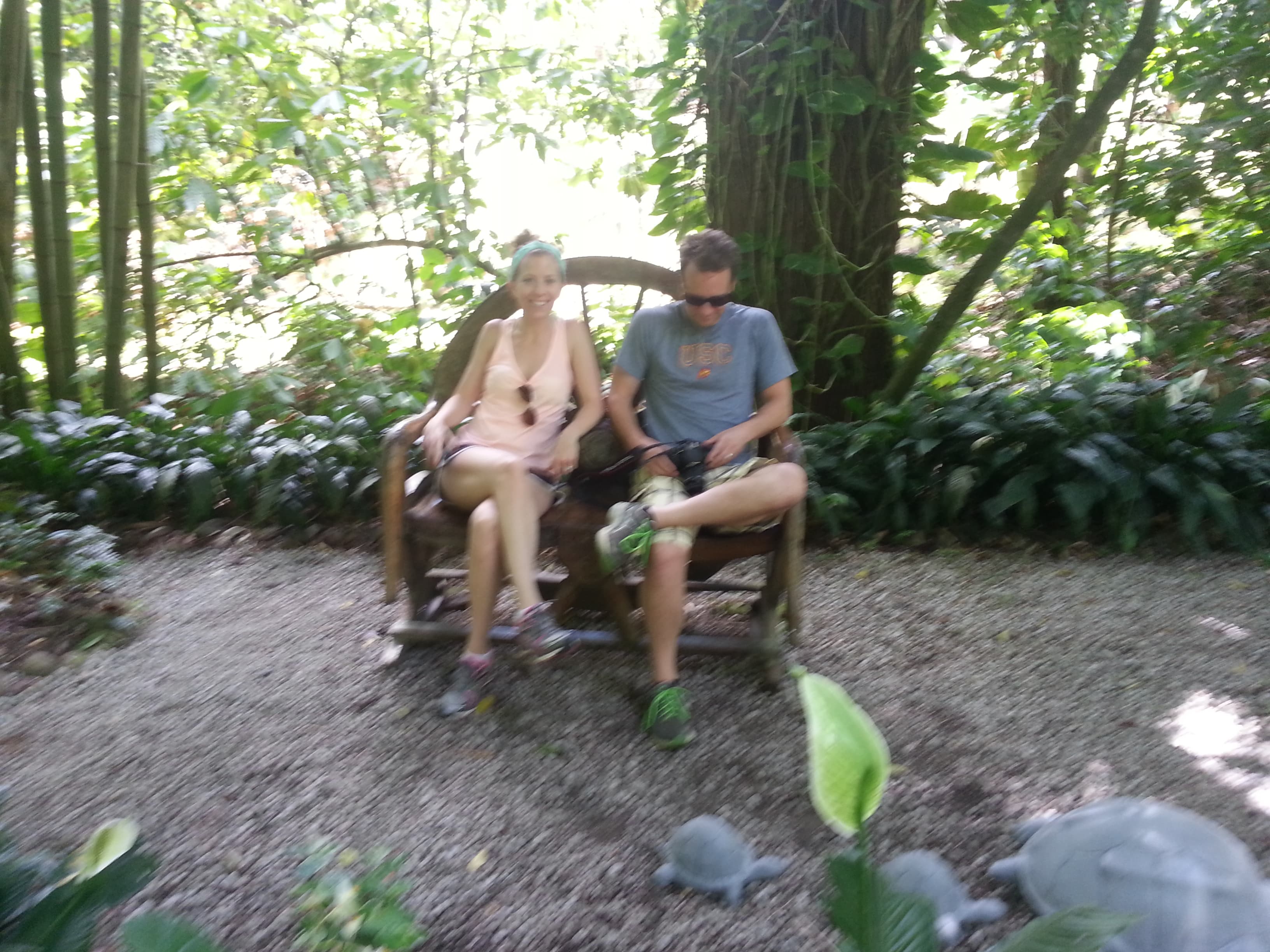 Saint Lucia island Tour And Discovery - Image 25