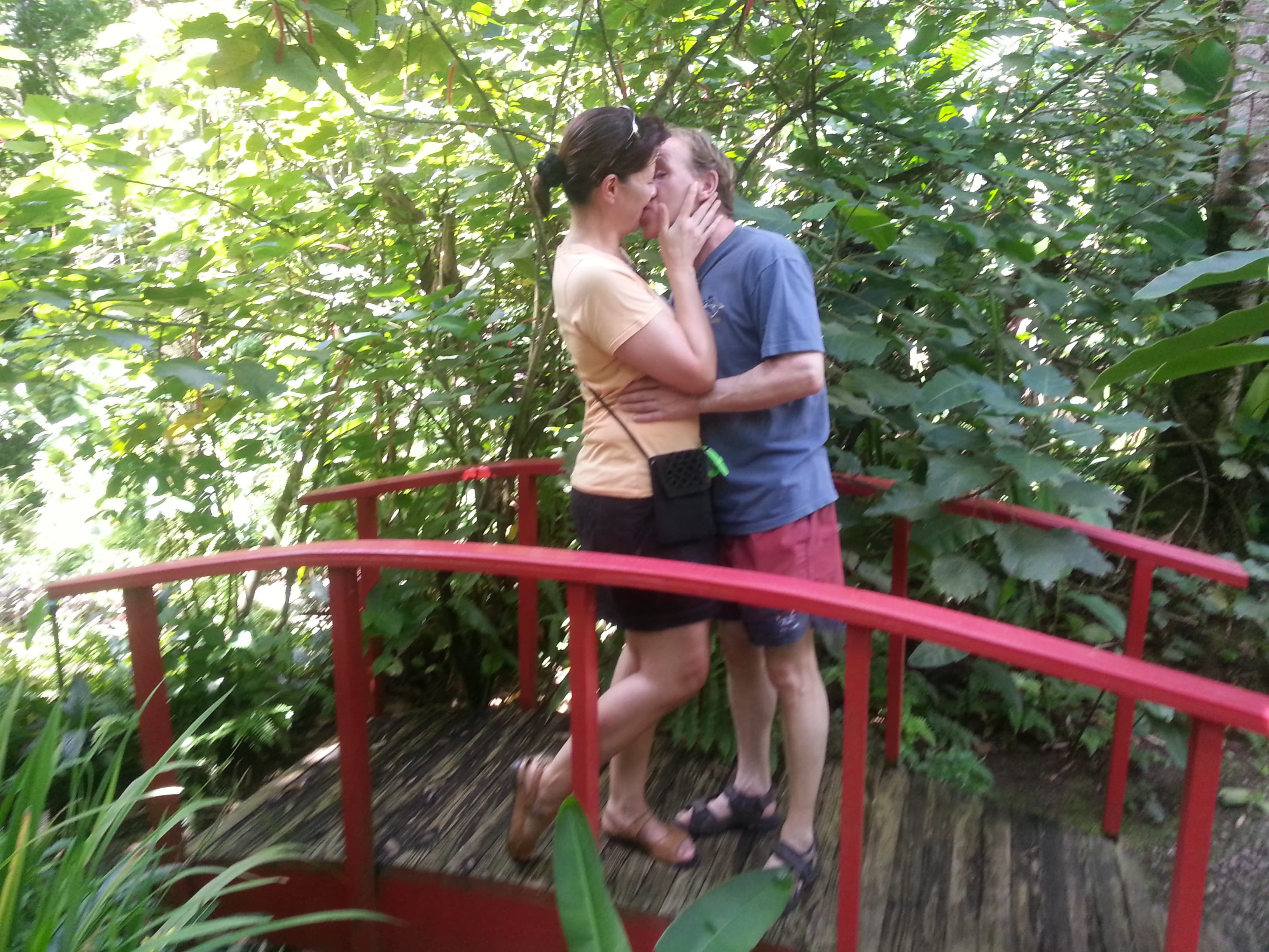 Saint Lucia island Tour And Discovery - Image 35