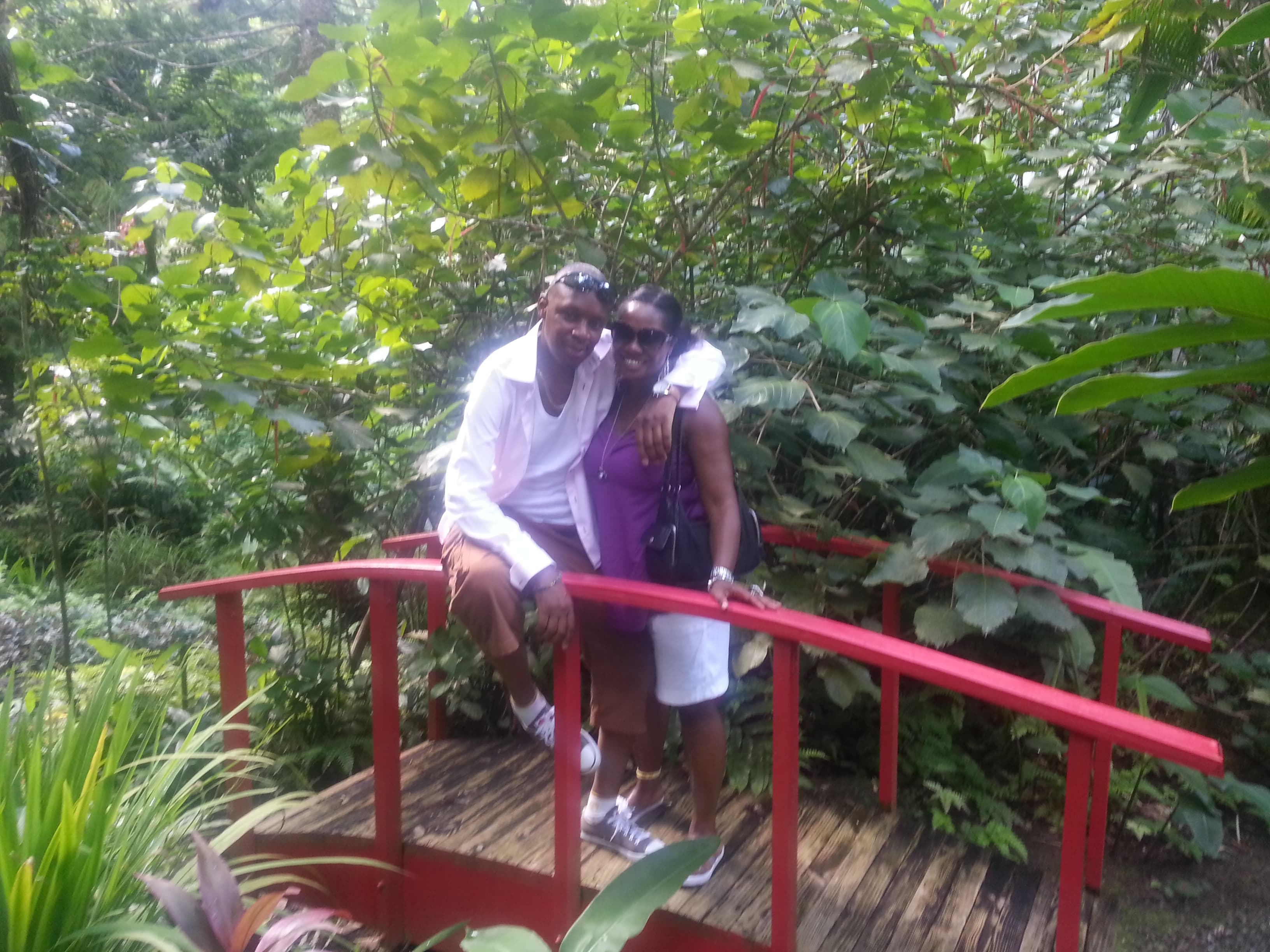 Saint Lucia island Tour And Discovery - Image 36