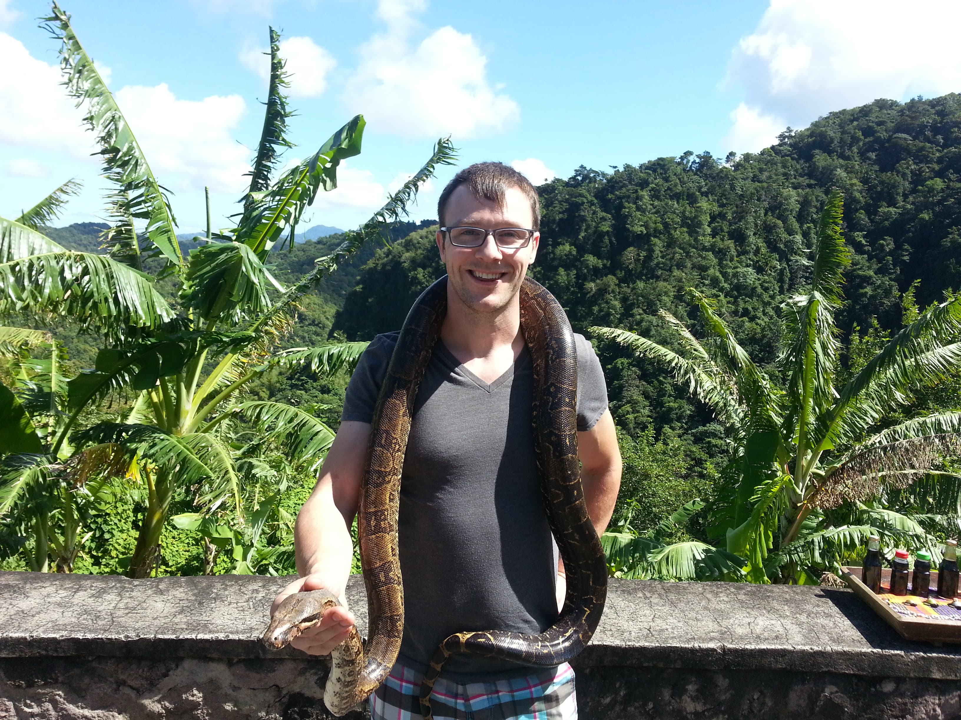 Saint Lucia island Tour And Discovery - Image 37