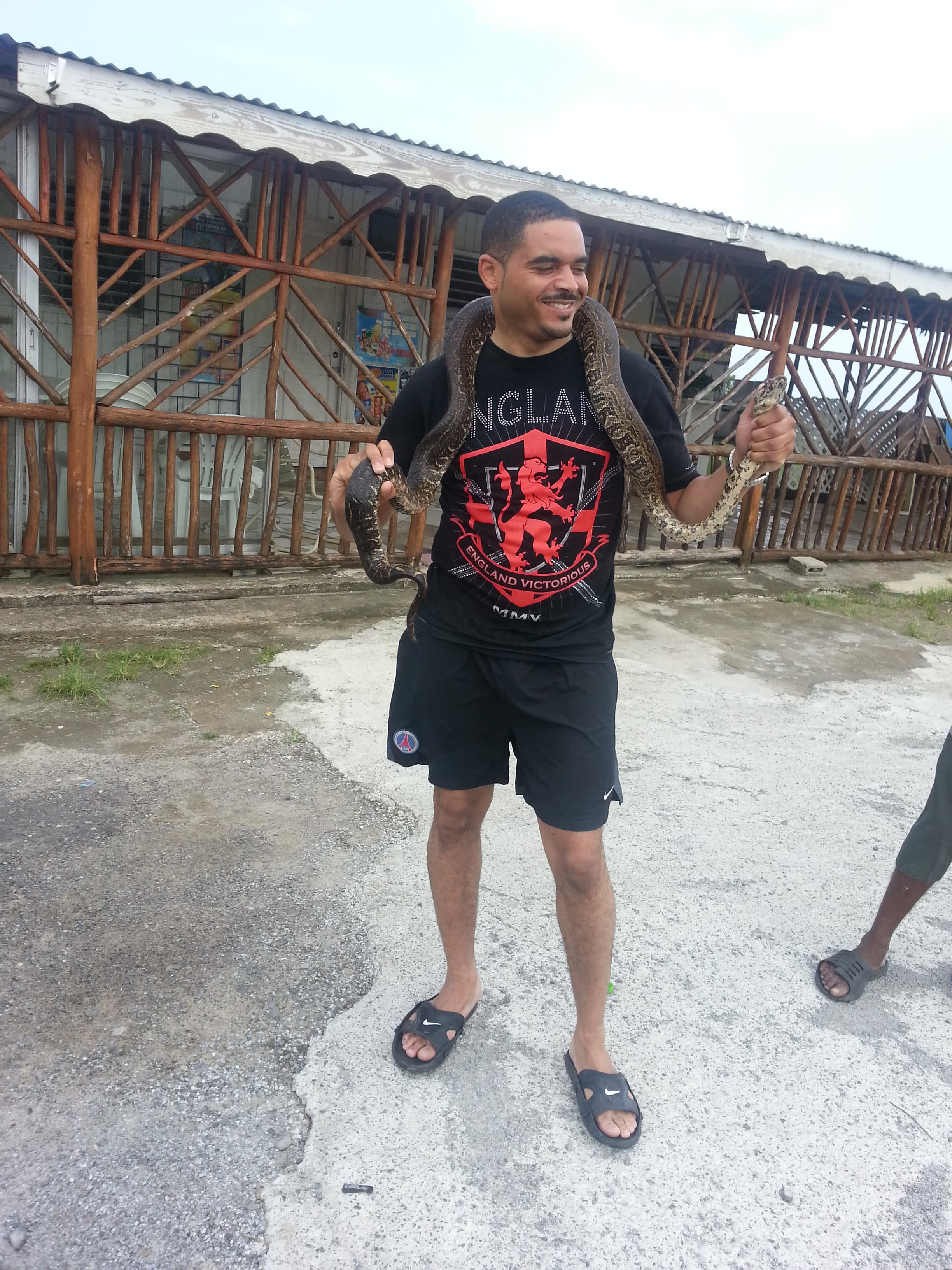 Saint Lucia island Tour And Discovery - Image 45