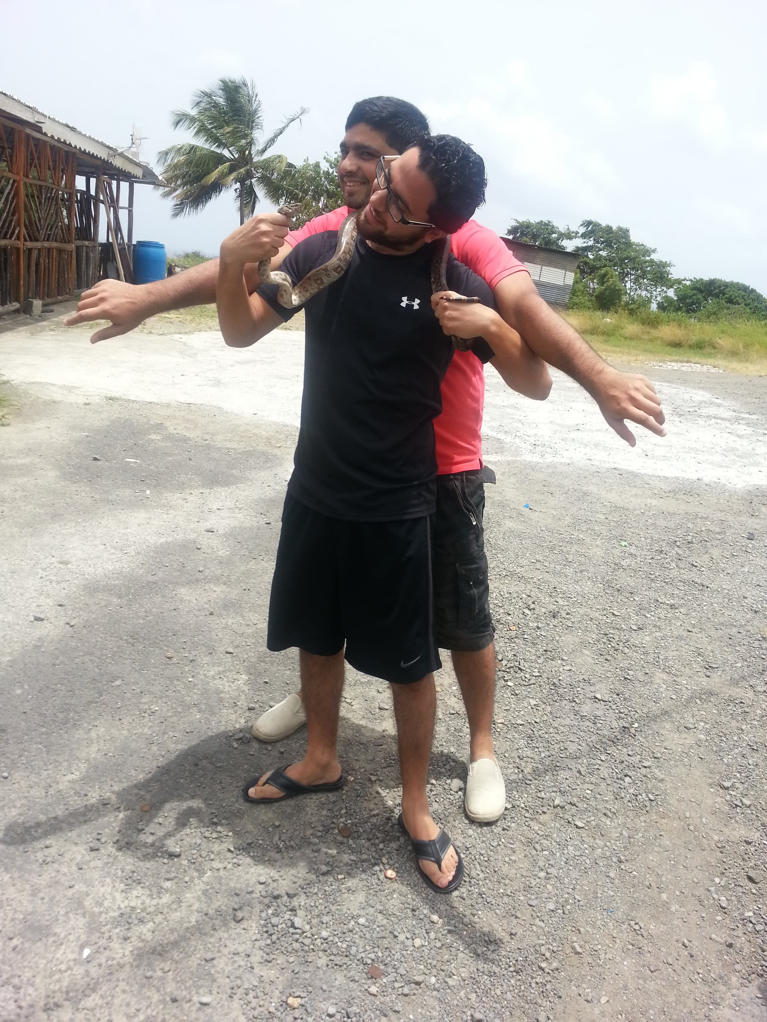 Saint Lucia island Tour And Discovery - Image 46