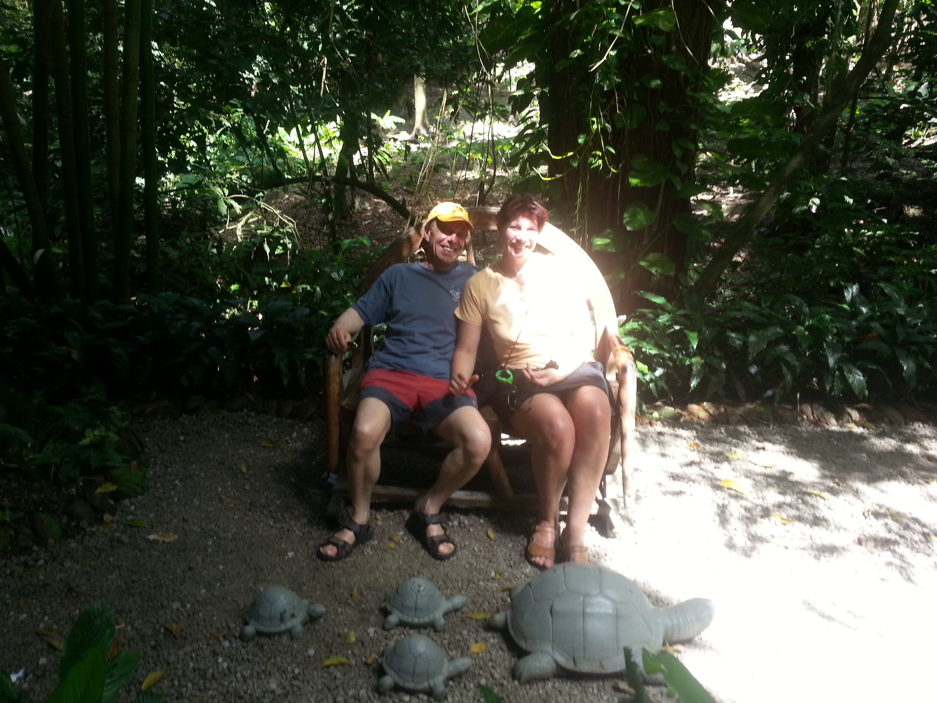 Saint Lucia island Tour And Discovery - Image 49