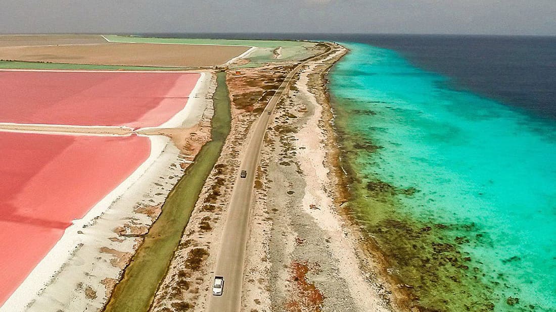 Bonaire North & South Island Tour with Local Guide.