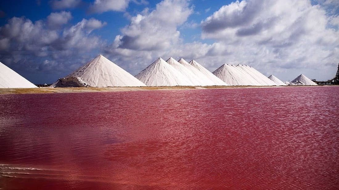 Bonaire North & South Island Tour with Local Guide. - Image 2