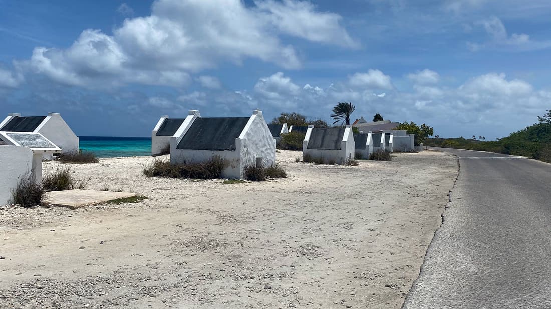 Bonaire North & South Island Tour with Local Guide. - Image 3