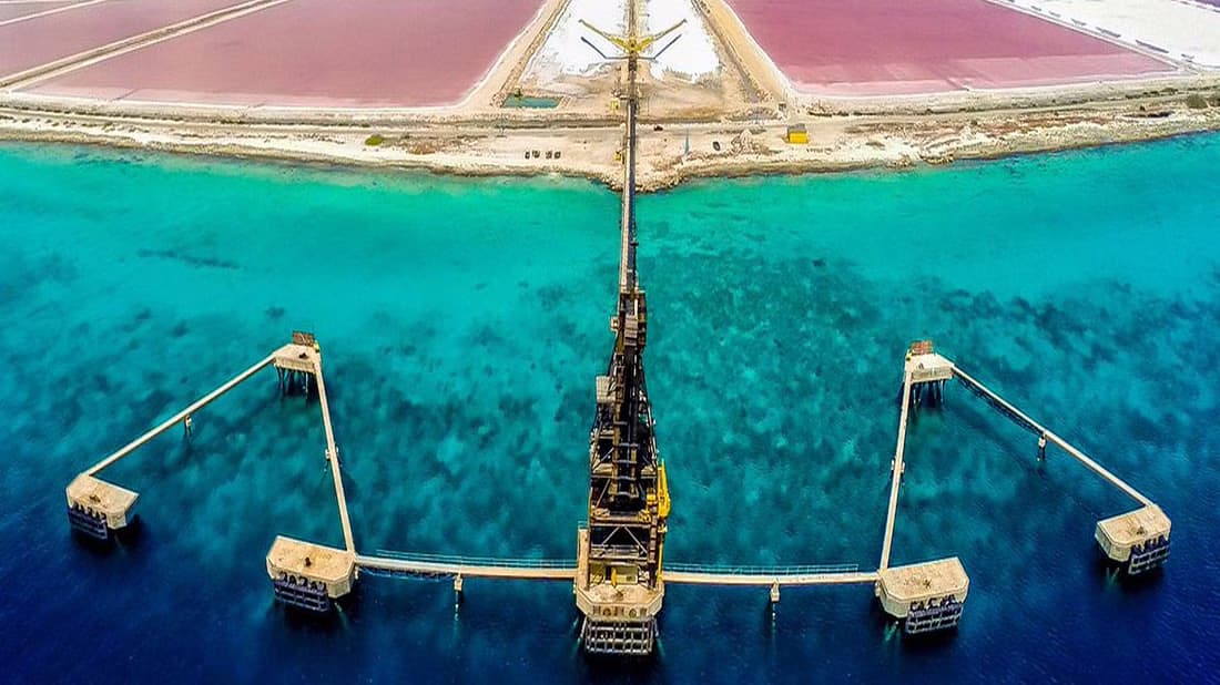 Bonaire North & South Island Tour with Local Guide. - Image 7