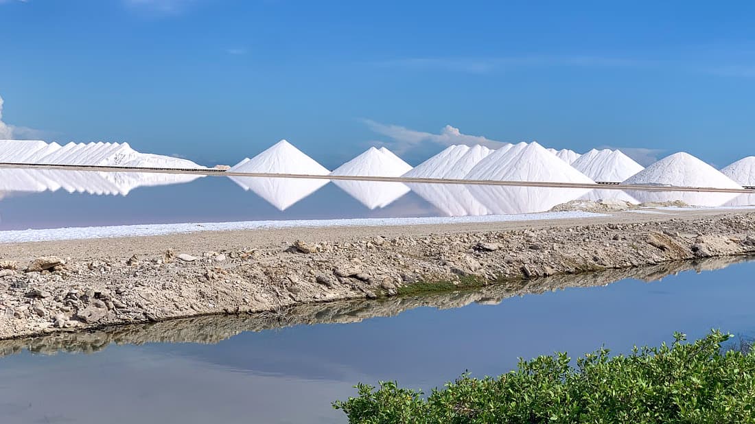 Bonaire North & South Island Tour with Local Guide. - Image 9