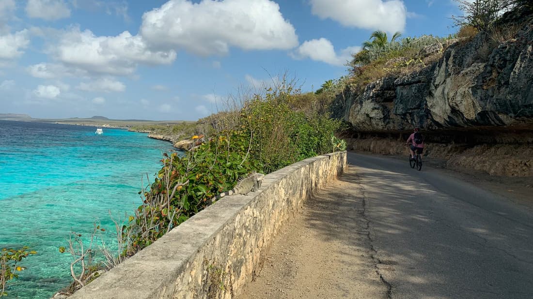 Bonaire North & South Island Tour with Local Guide. - Image 10