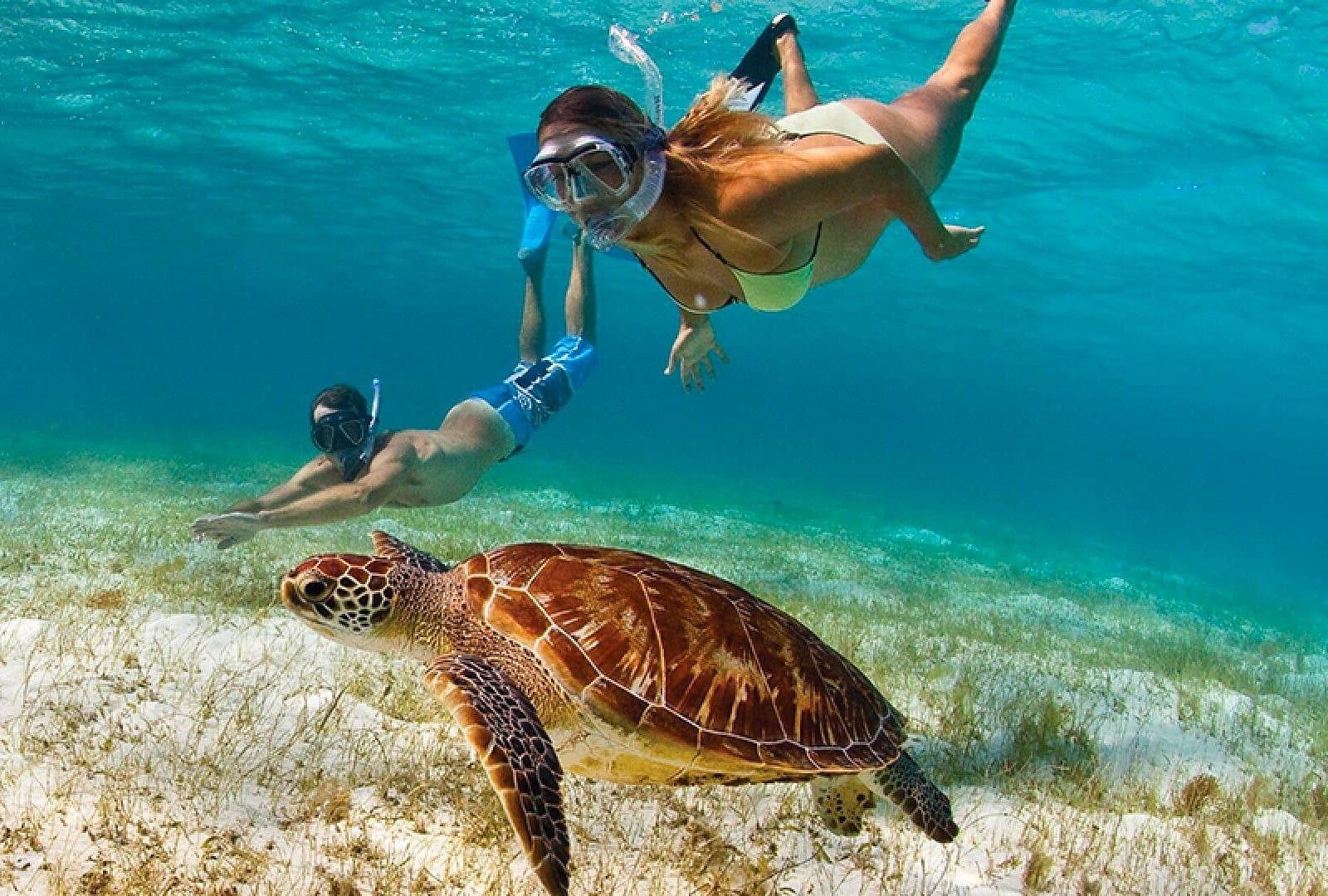 St. Thomas Island Tour With Historical Sights, Shopping & Beach Experience | USVI - Image 4