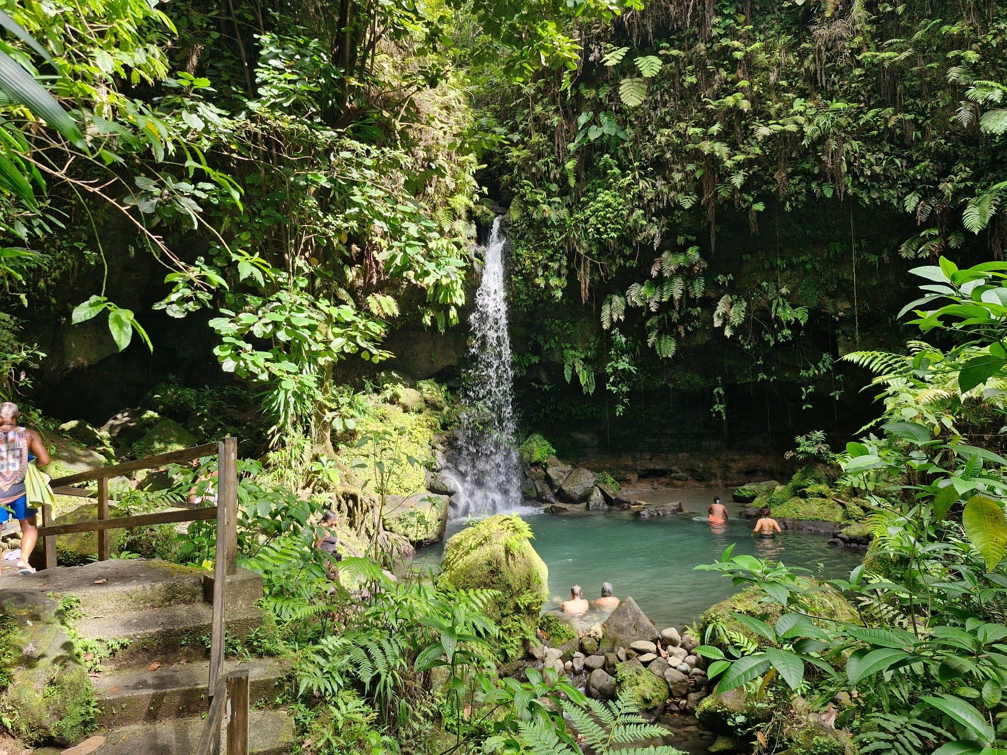 Dominica Rainforest Tour to Trafalgar Falls and Hot Springs Near Roseau - Image 5