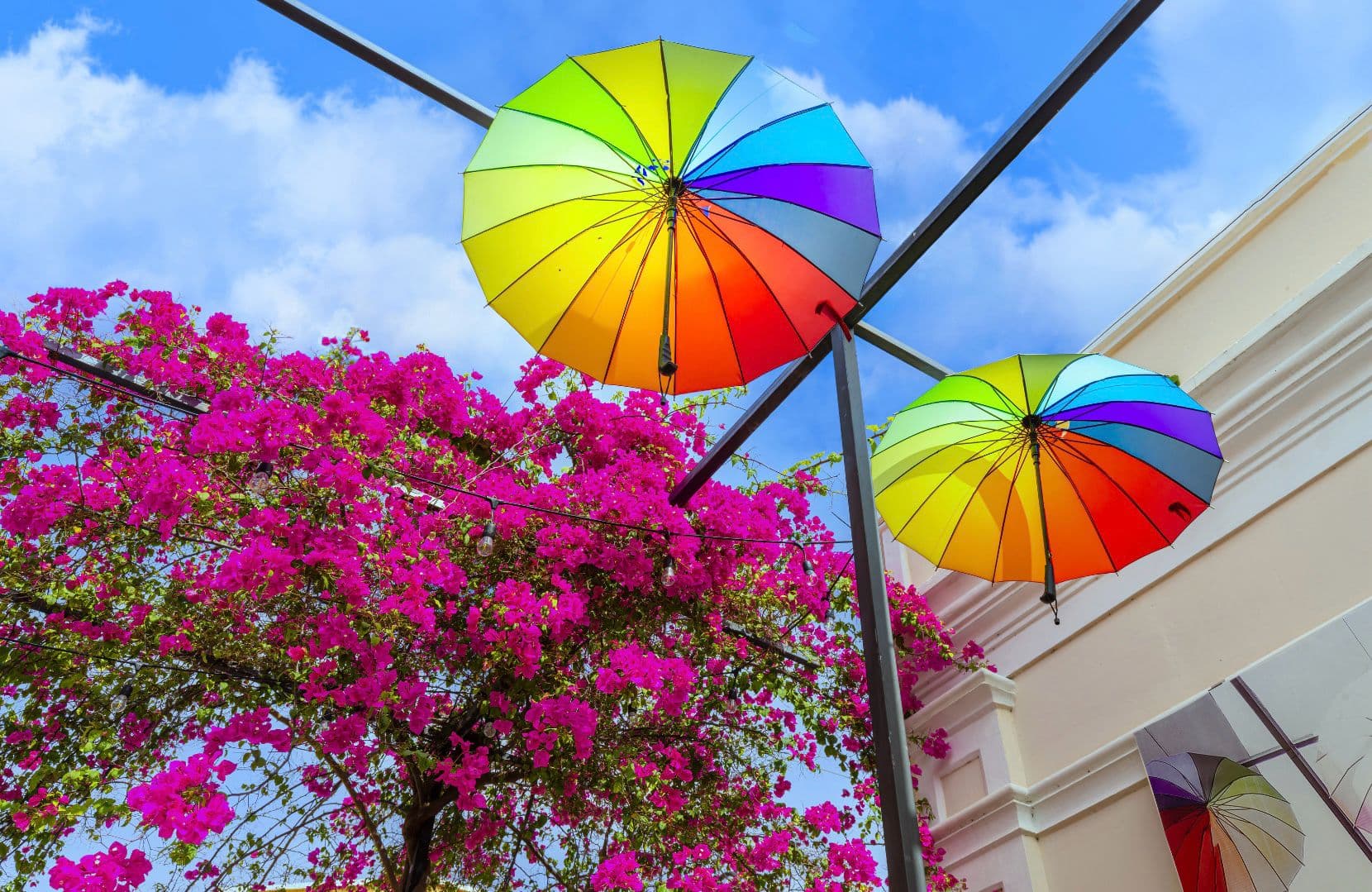 Private Puerto Plata City Tour in Dominican Republic - Image 3