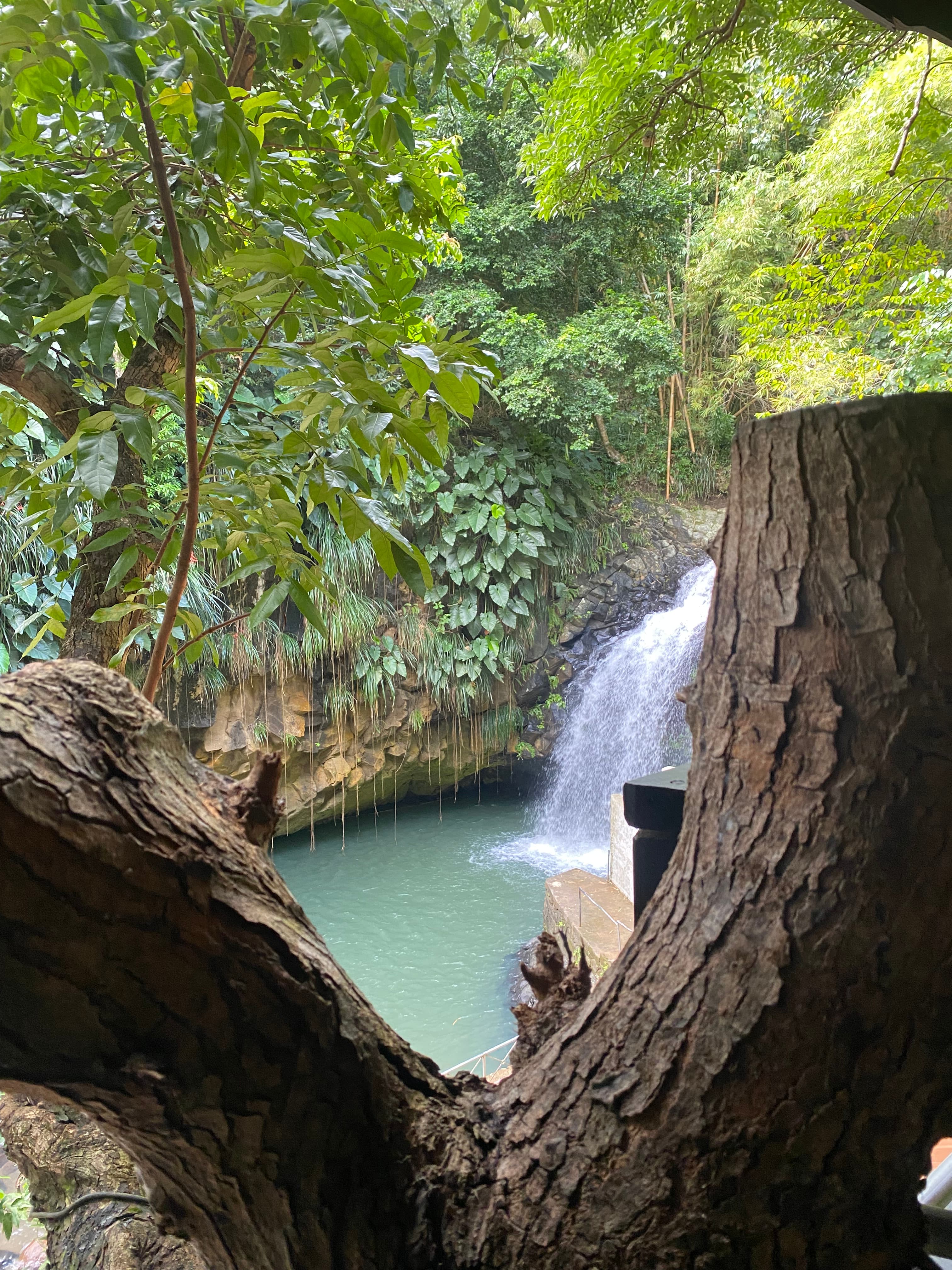 Discover Grenada Spice Island Tour Waterfall And Beach Experience