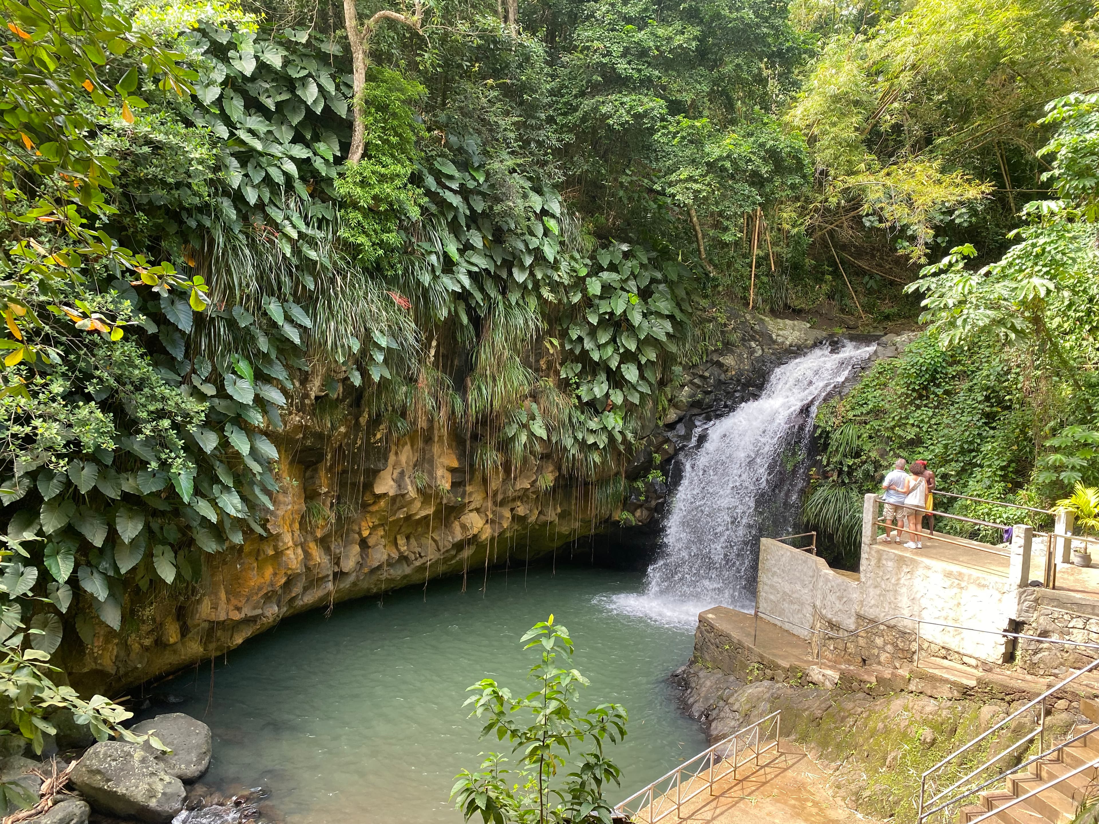 Discover Grenada Spice Island Tour Waterfall And Beach Experience - Image 3