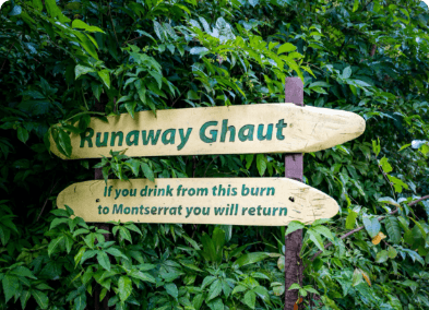 Buried City Tour/ Island Tour