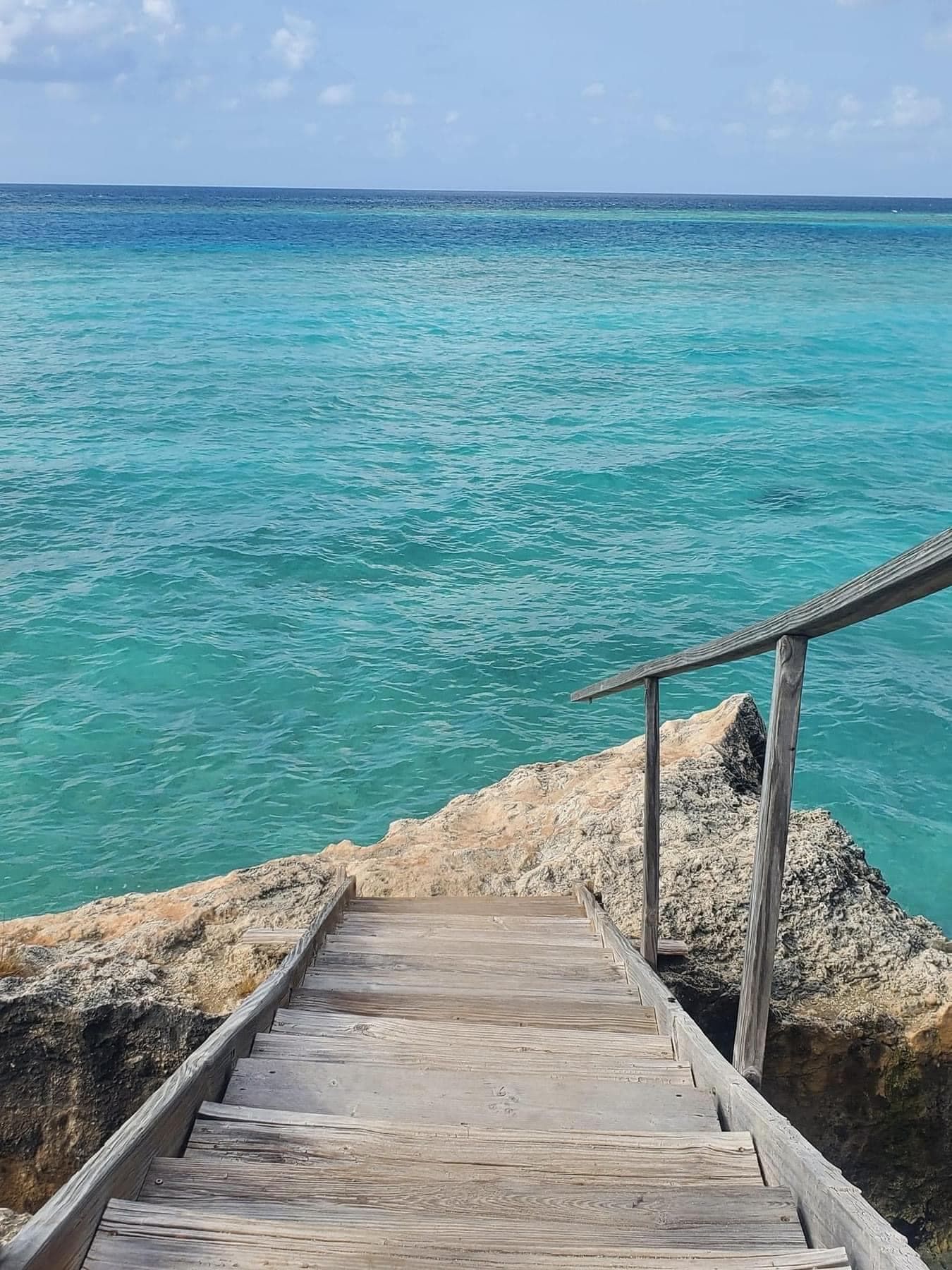 Explore Aruba on an island tour and discover the hidden gems it has to offer. - Image 2