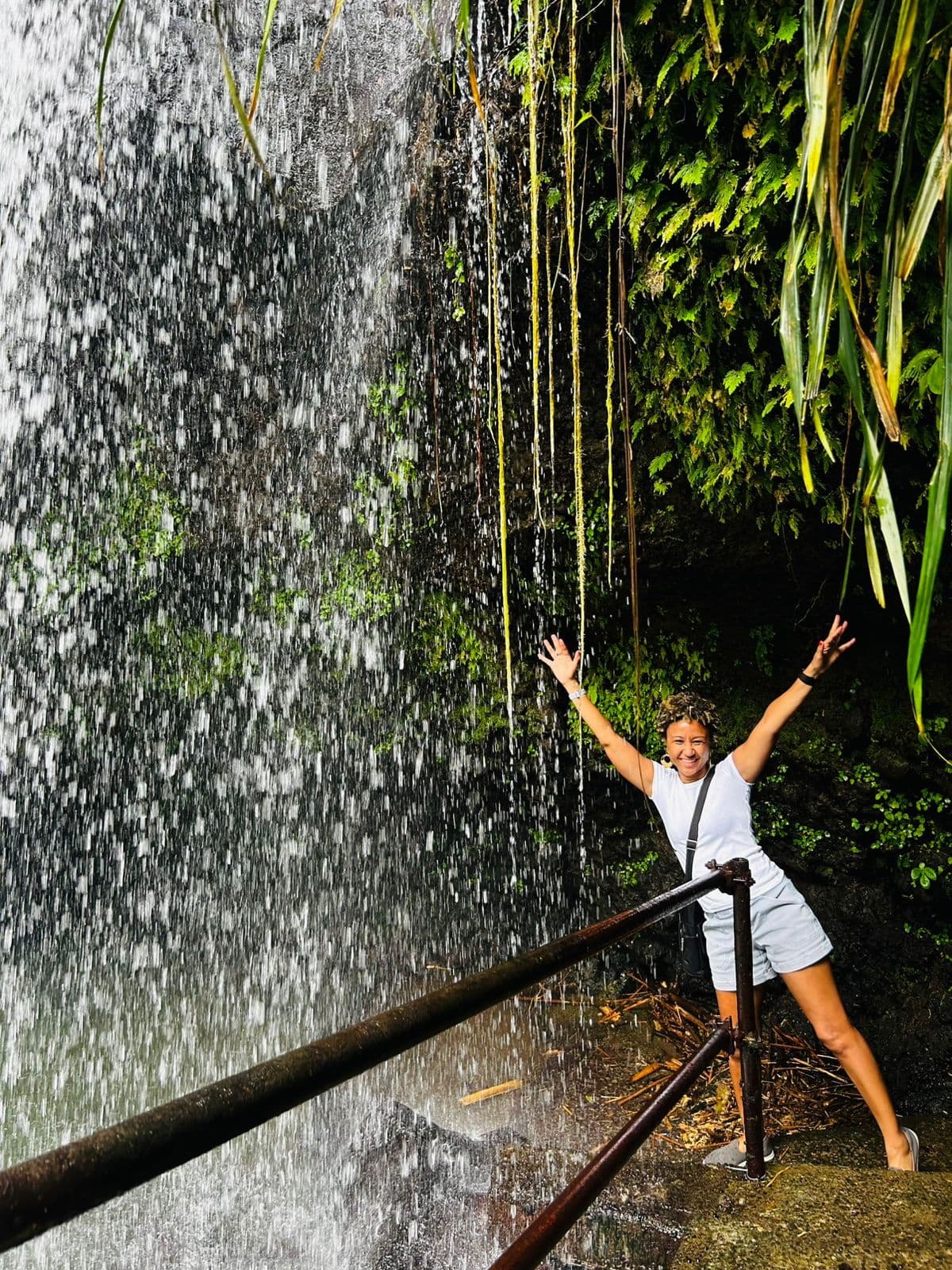 Grenada Highlights Half-Day Rum, Chocolate and Waterfall Tour - Image 9