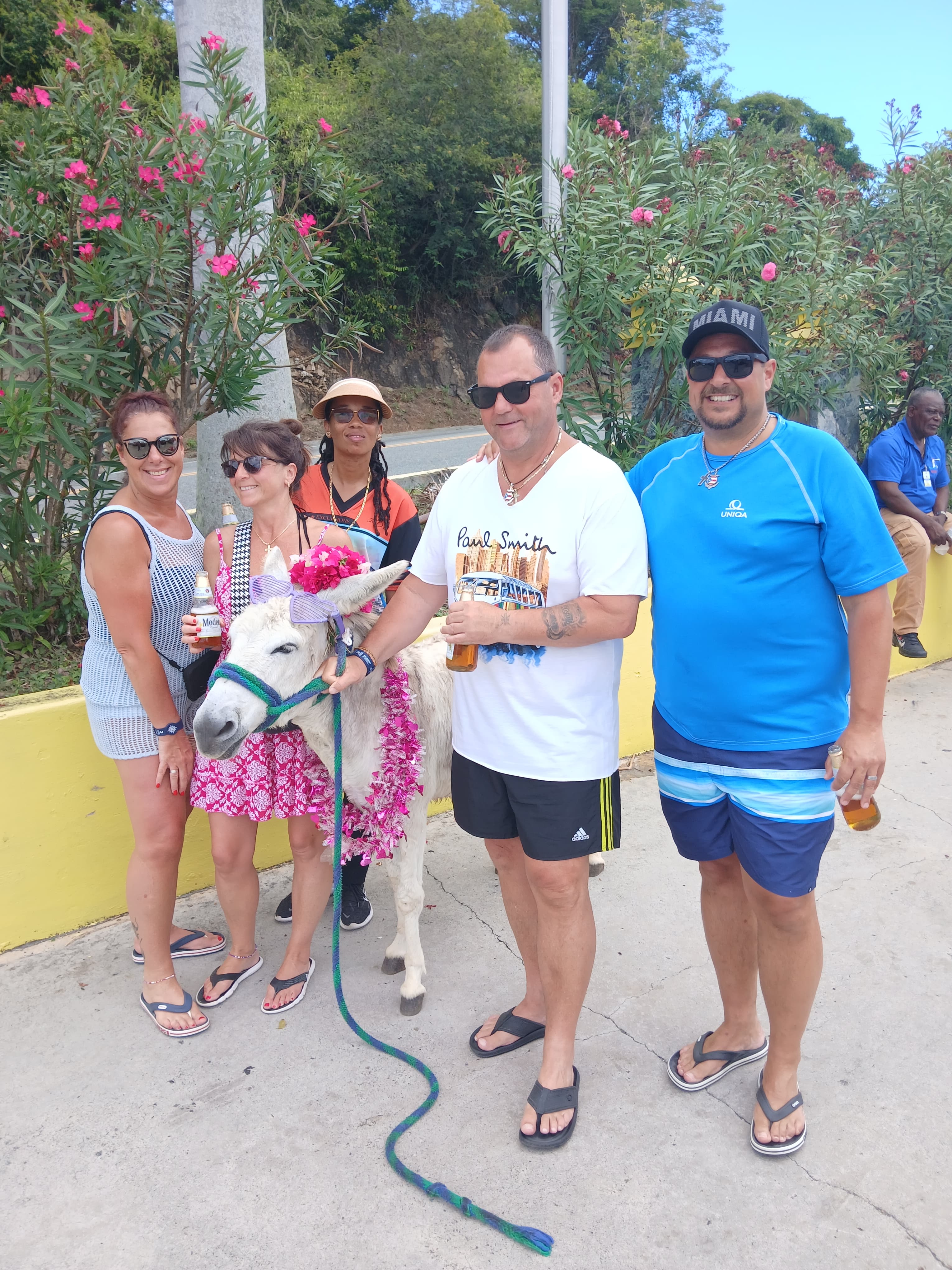 Saint Thomas Island Tour with Shopping Sightseeing and Beach Time - Image 5